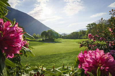 Golf Gerre Losone   Primavera 5 p