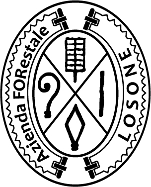 Logo afor